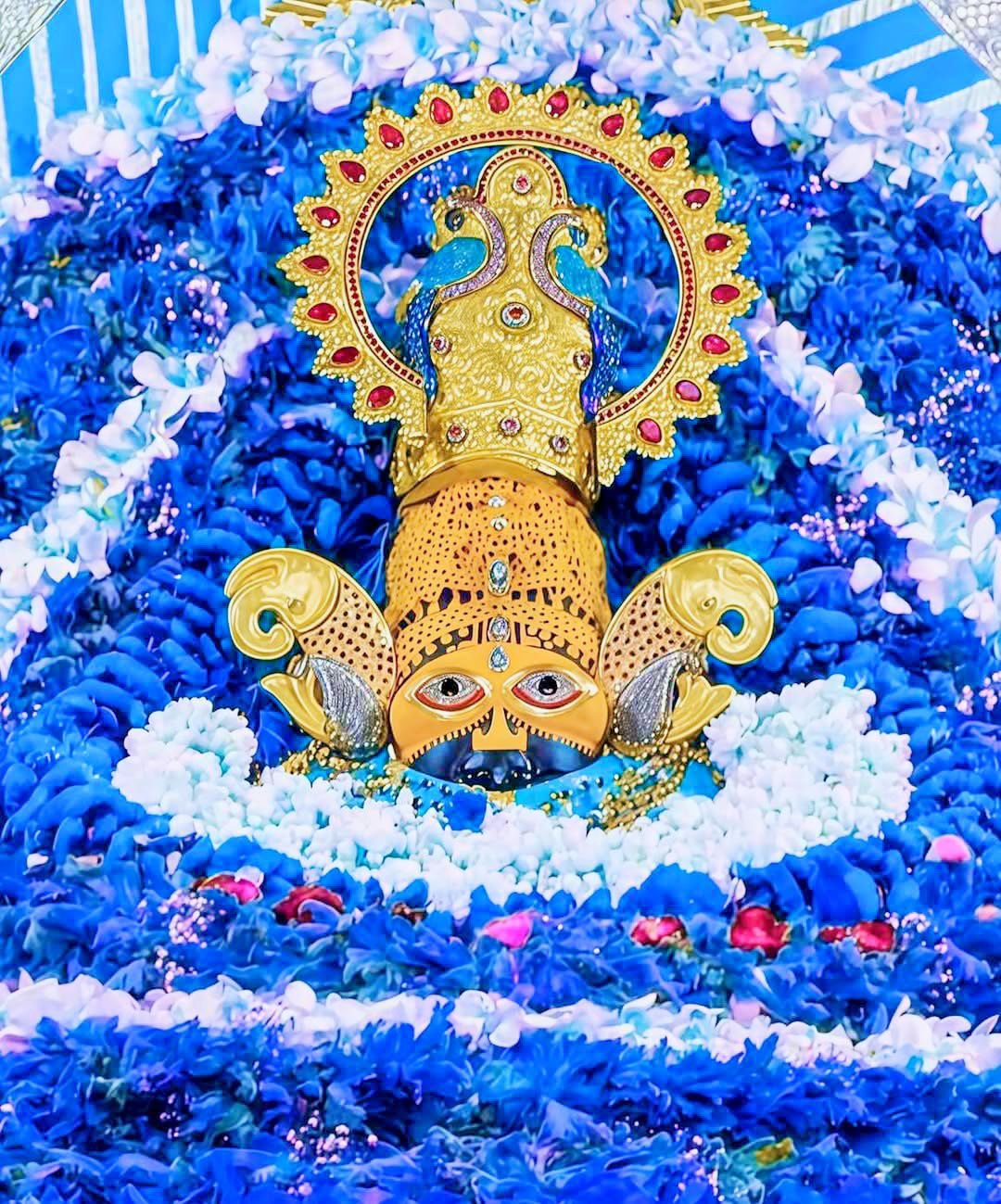 shyam-baba-rath-yatra-photo